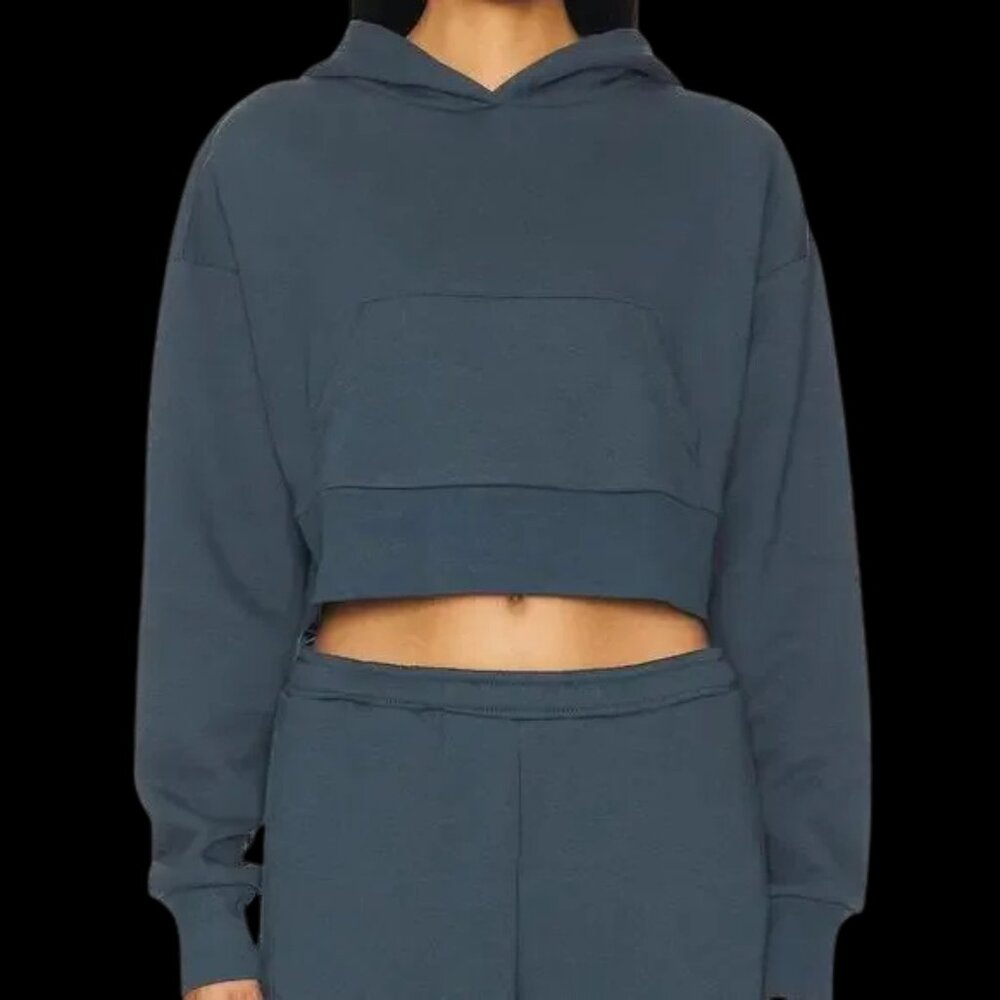 🦭Lulus Crop Hoodie🦭